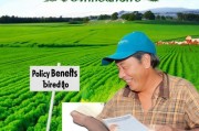 种薯补贴申请，政策红利直达田间，助力农业提质增效