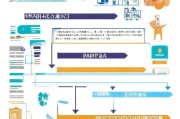乐业补贴申请全攻略，从政策解读到实操指南
