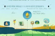 雨露计划申请全攻略，从准备到提交的详细流程